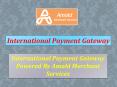 Get fast approval with International Payment Gateway without any hassle. PowerPoint PPT Presentation