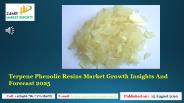 Terpene phenolic resins market