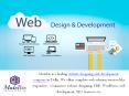 Professional web designing company in Delhi PowerPoint PPT Presentation