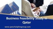 Business feasibility study in Qatar