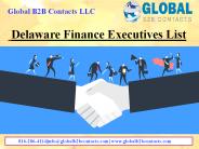 Delaware Finance Executives List