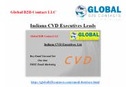 Indiana CVD Executives Leads