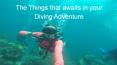 The Things that awaits in your Diving Adventure PowerPoint PPT Presentation