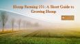 Hemp Farming 101: A Short Guide to Growing Hemp