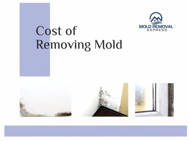Cost of removing mold