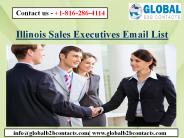 Illinois Sales Executives Email List