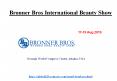 Bronner Bros International Beauty Show PowerPoint PPT Presentation
