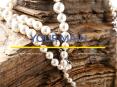 where to buy the quality freshwater pearl necklace online