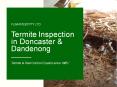 Termite Inspection Doncaster | Termite Inspection Dandenong PowerPoint PPT Presentation