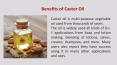 Castor Oil Benefits PowerPoint PPT Presentation