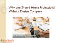 Why one Should Hire a Professional Website Design Company PowerPoint PPT Presentation