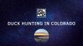 Duck Hunting in Colorado PowerPoint PPT Presentation