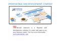 PROFESSIONAL WEB DEVELOPMENT COMPANY PowerPoint PPT Presentation