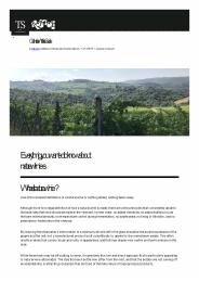 Our Natural Wine Guide