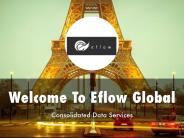 Information Presentation Of Eflow Global