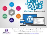 Benefits of Hiring Professional WordPress Development Company