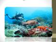 Book Bali diving tour package from India at affordable price-GalaxyTourism