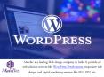 Affordable professional WordPress Services for your website PowerPoint PPT Presentation