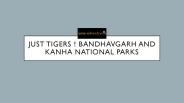 Tiger tours india