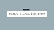 Central Himalayan Birding Tours
