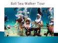 Bali sea walker tour packages from India at the best amazing price PowerPoint PPT Presentation
