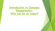 Introduction to Damages Engagements: Who can be an expert