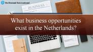 Key sectors in the Netherlands | On Demand International