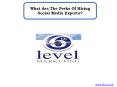 What Are The Perks Of Hiring Social Media Experts? PowerPoint PPT Presentation