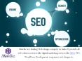 Professional search engine optimization company in India. PowerPoint PPT Presentation