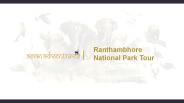 Ranthambhore national park tours