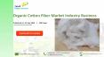 Organic Cotton Fiber Market Industry Business Overview 2019-2025 PowerPoint PPT Presentation