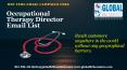 Occupational Therapy Director Email List PowerPoint PPT Presentation