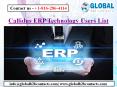 Callidus ERP Technology Users List PowerPoint PPT Presentation
