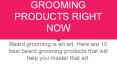 10 Best Beard Grooming Products Right Now PowerPoint PPT Presentation