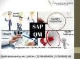SAP QM (Quality Management) Online Training Course in India, USA, UK, Canada PowerPoint PPT Presentation
