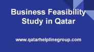 Business feasibility study in Qatar (2)
