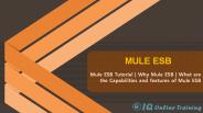Mule ESB Tutorial | Mulesoft ESB | Mule ESB Certification & Training