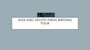 Goa and south india birding tours