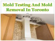Mold Testing And Mold Removal In Toronto