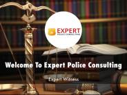 Information Presentation Of Expert Police Consulting