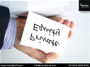 One of the best Private Equity Deals (1)