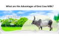What are the Advantages of Desi Cow Milk? | GFO Farming PowerPoint PPT Presentation