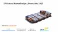 EV Battery Market Insights, Forecast to 2025 PowerPoint PPT Presentation