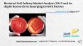 Bacterial Cell Culture Market Analysis 2019 and In depth Research PowerPoint PPT Presentation