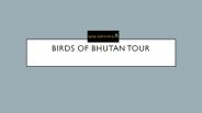 bhutan birding tours