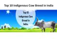 Top 10 Indigenous Cow Breed in India | GFO Farming PowerPoint PPT Presentation