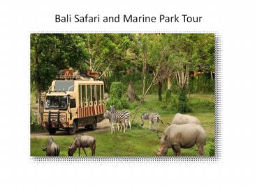 Bali safari and marine park tour at an amazing price -GalaxyTourism