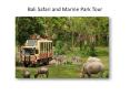 Bali safari and marine park tour at an amazing price -GalaxyTourism PowerPoint PPT Presentation