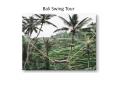 Book Bali swing tour from India at the best affordable price-GalaxyTourism PowerPoint PPT Presentation