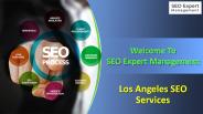 Los Angeles SEO Services